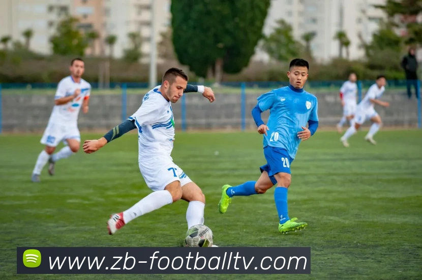 App Interface Preview